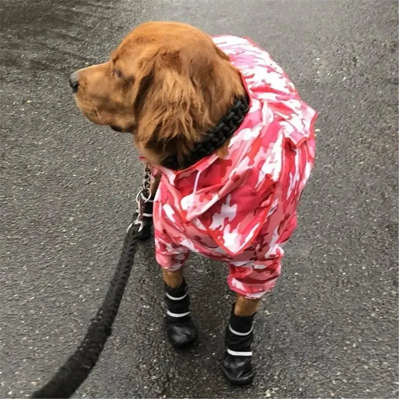 4 Pièces Chaussures Orthopédiques Pour Chien