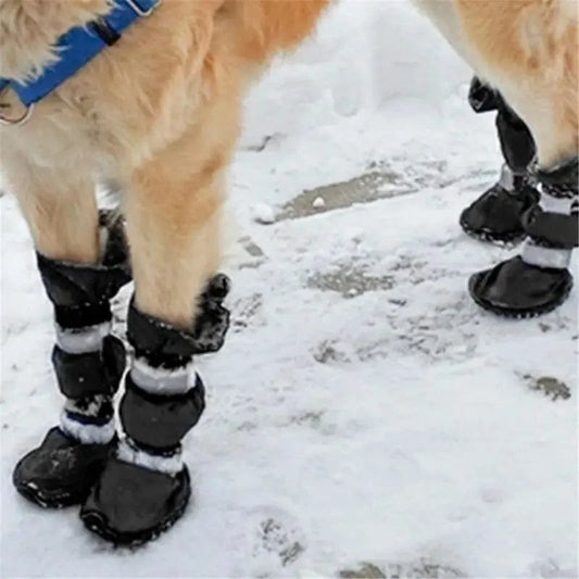 4 Pièces Chaussures Orthopédiques Pour Chien