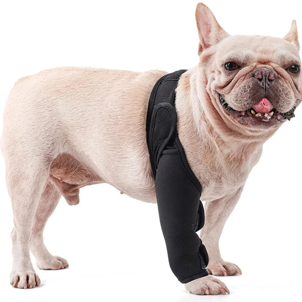 Attelle De Genou Pour Chien
