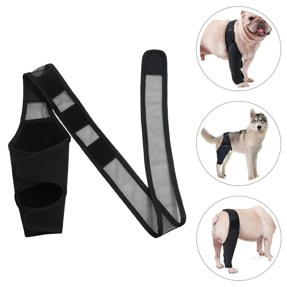 Attelle De Genou Pour Chien