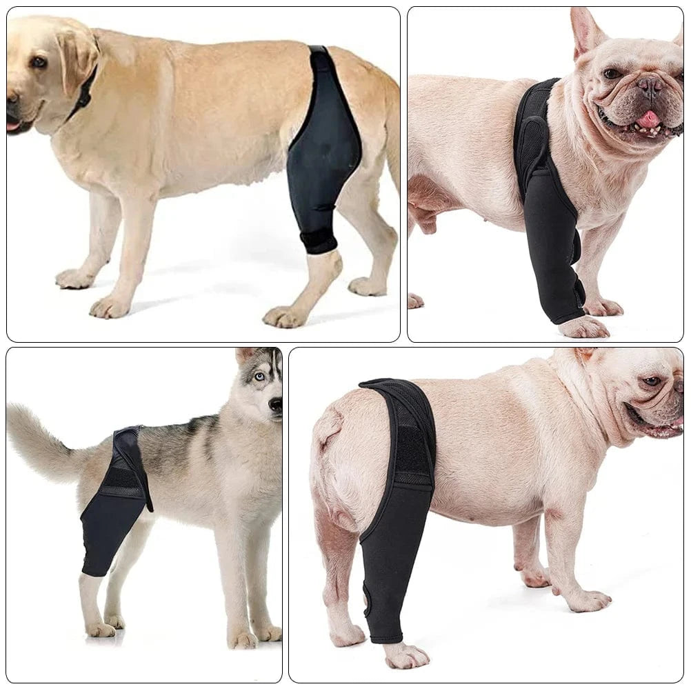 Attelle De Genou Pour Chien