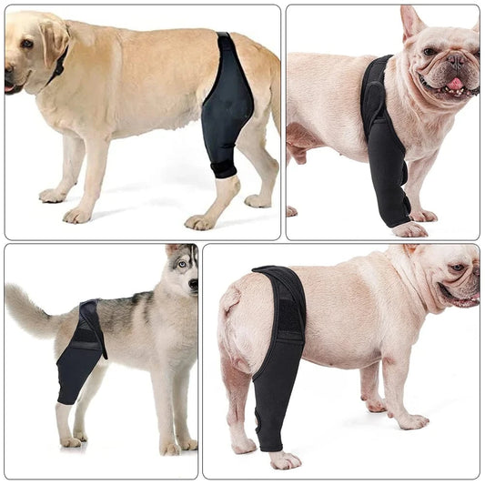 Attelle De Genou Pour Chien