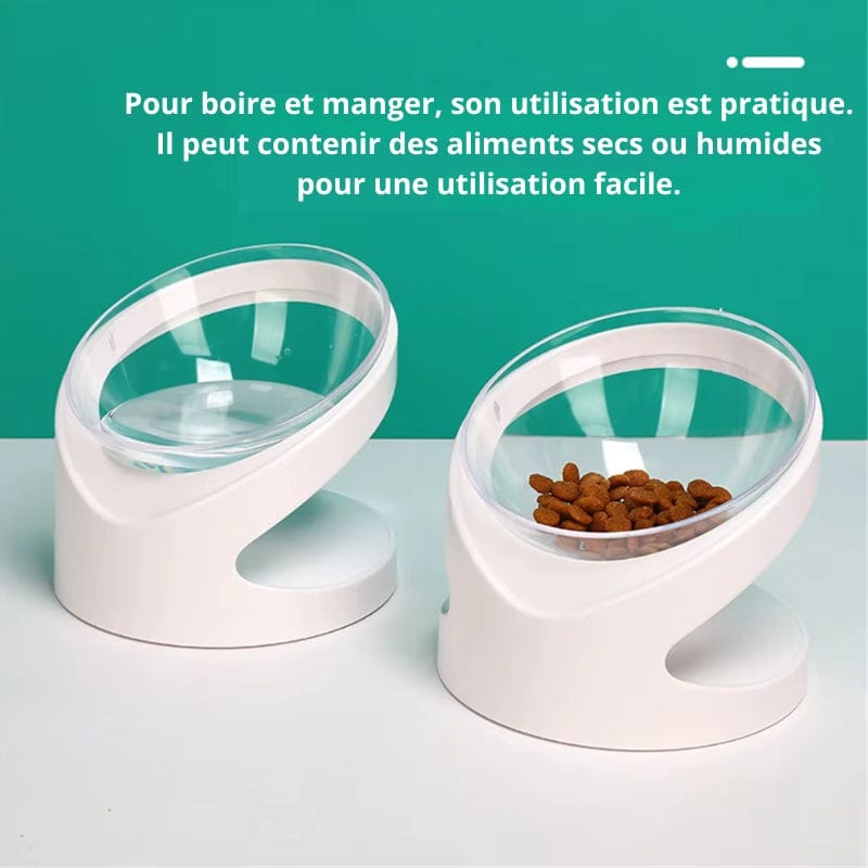 Bol Orthopédique Pour Chat