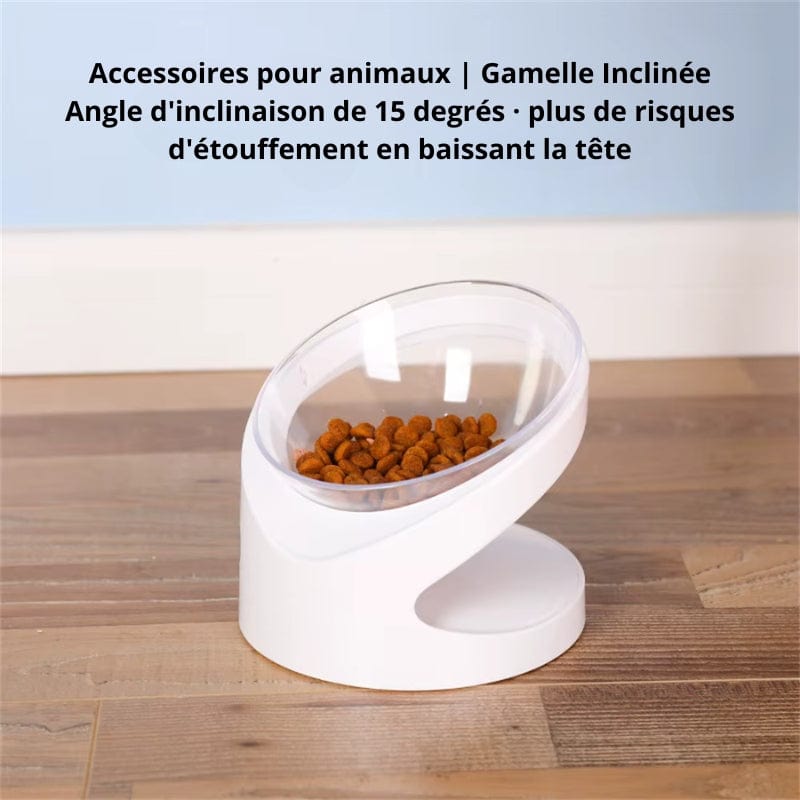 Bol Orthopédique Pour Chat