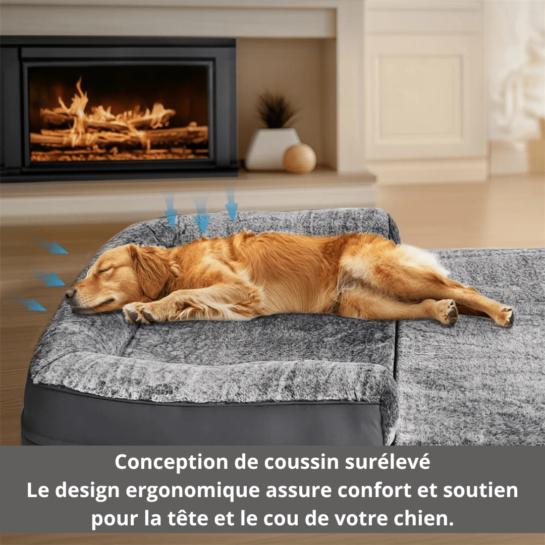 Canapé Orthopédique Pour Chien