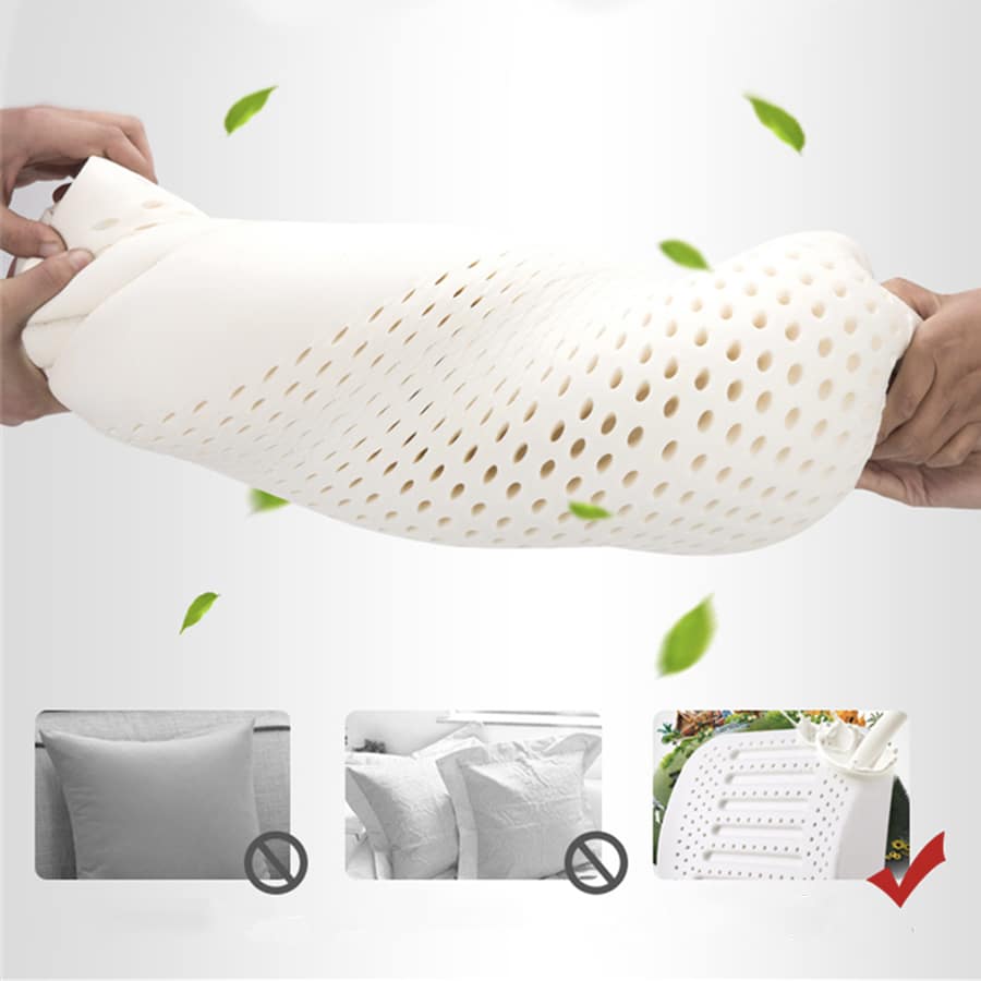 Coussin Orthopédique Dos en Latex