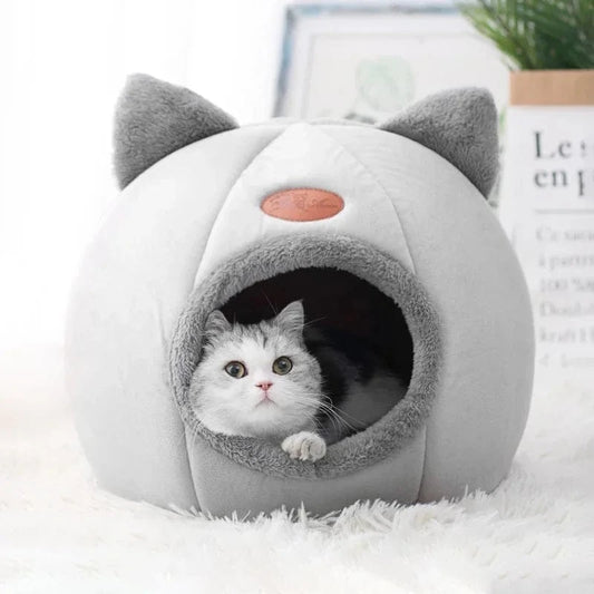 Panier Orthopédique Pour Chat