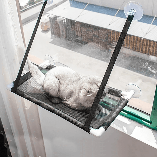 Perchoir de Fenêtre pour Chat