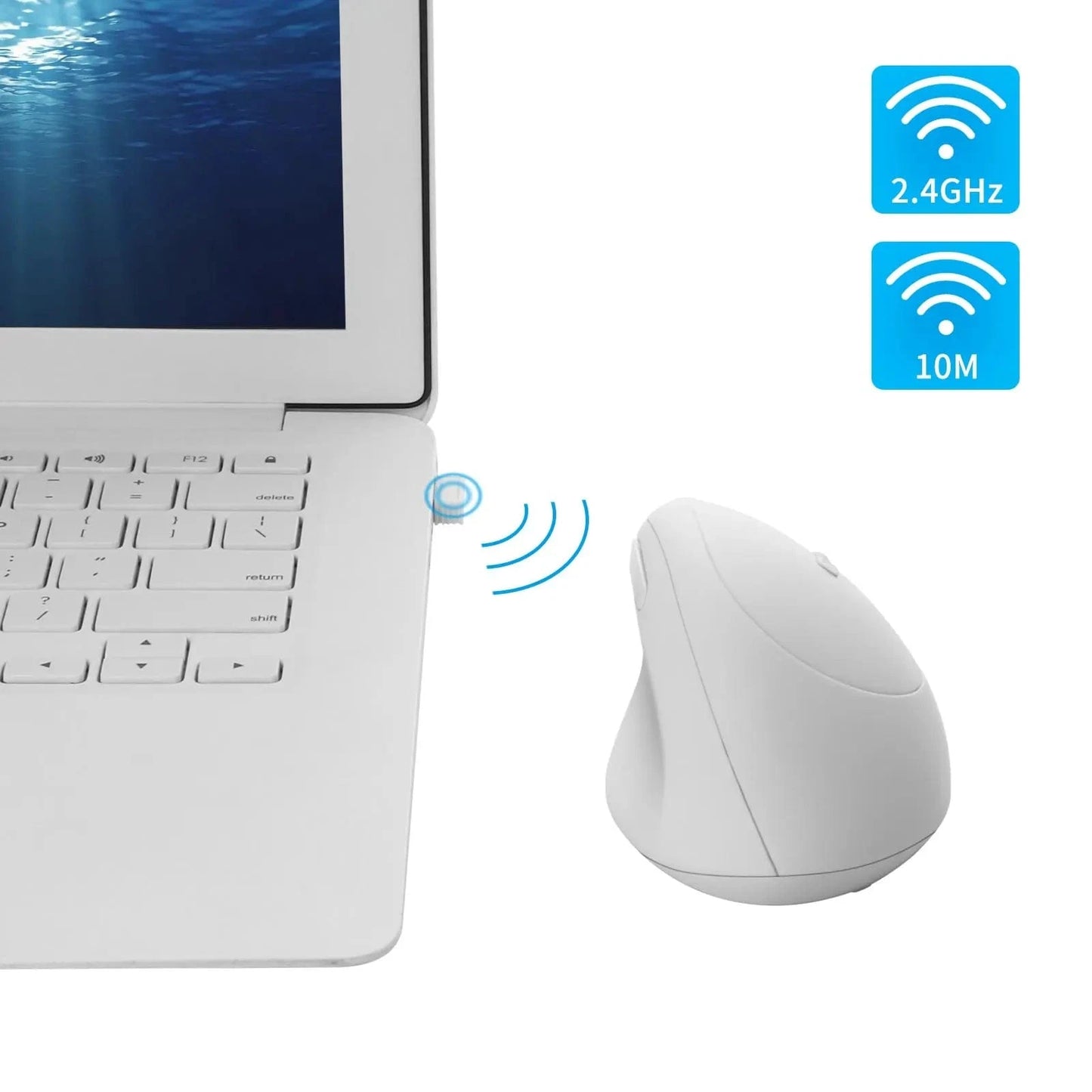 Petite Souris Orthopédique Verticale Filaire