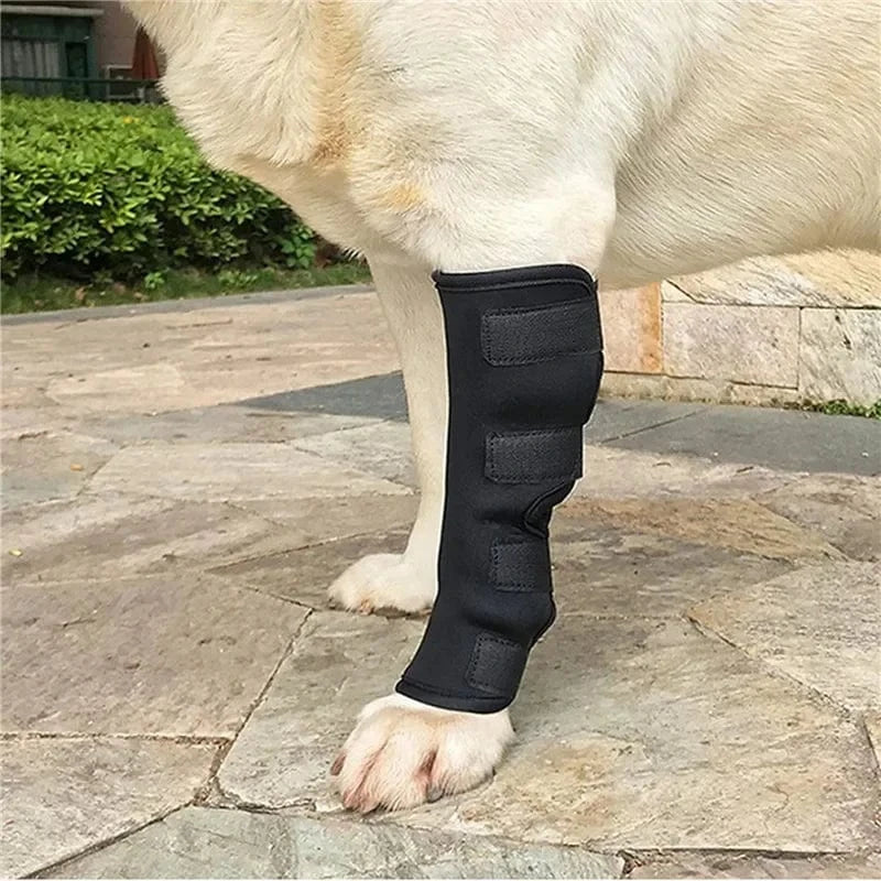 Bandage Orthopédique Pour Jambes Et Genoux De Chien