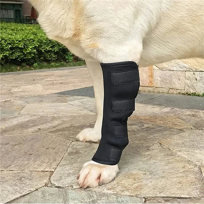 Bandage Orthopédique Pour Jambes Et Genoux De Chien