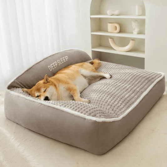 Canapé Confortable Pour Chien