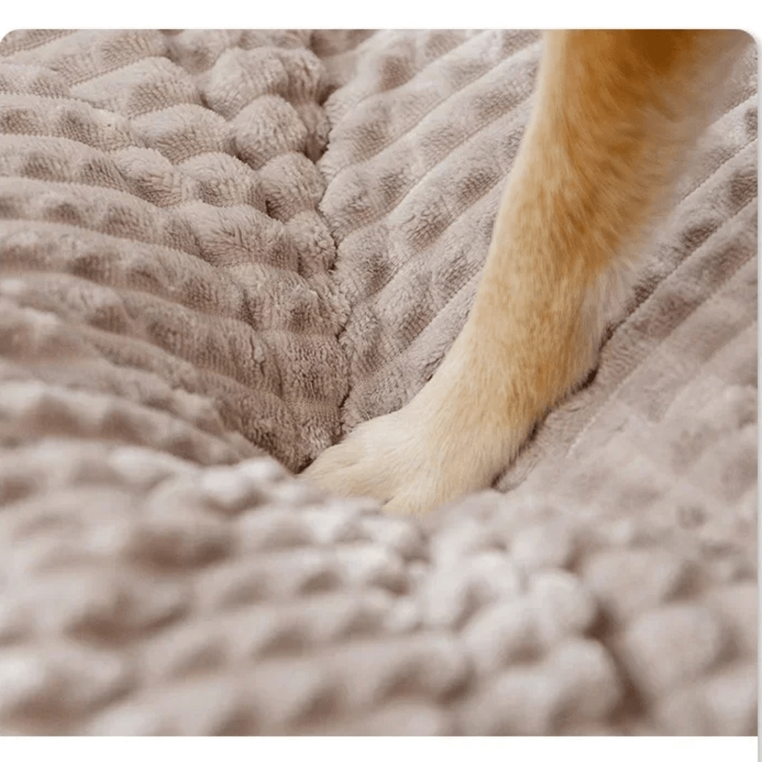 Canapé Confortable Pour Chien