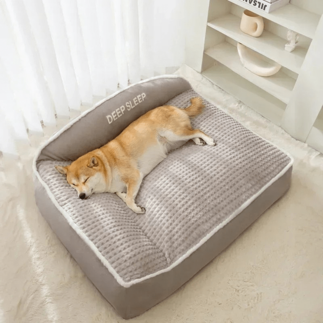 Canapé Confortable Pour Chien