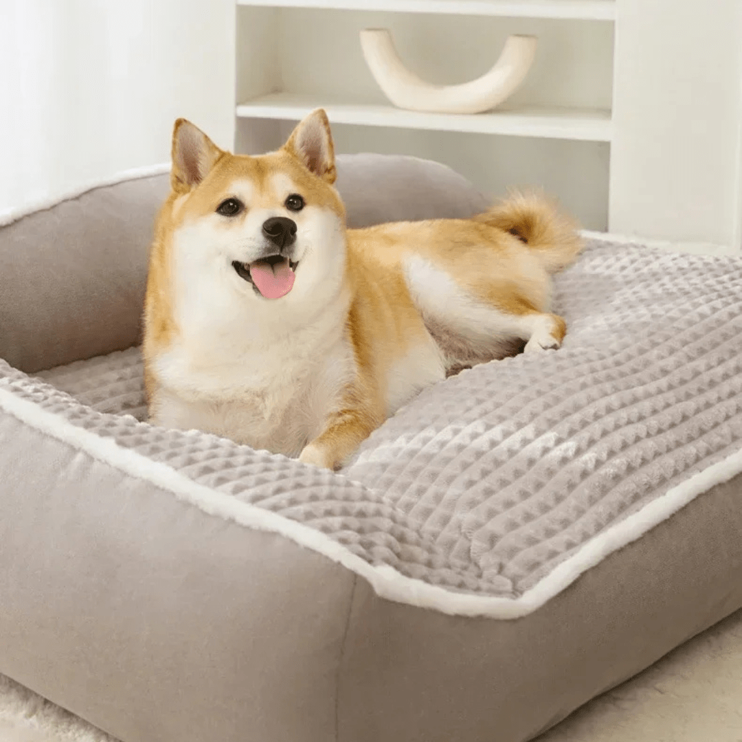 Canapé Confortable Pour Chien