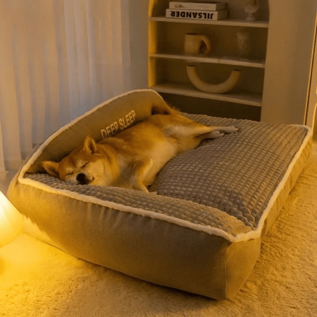 Canapé Confortable Pour Chien