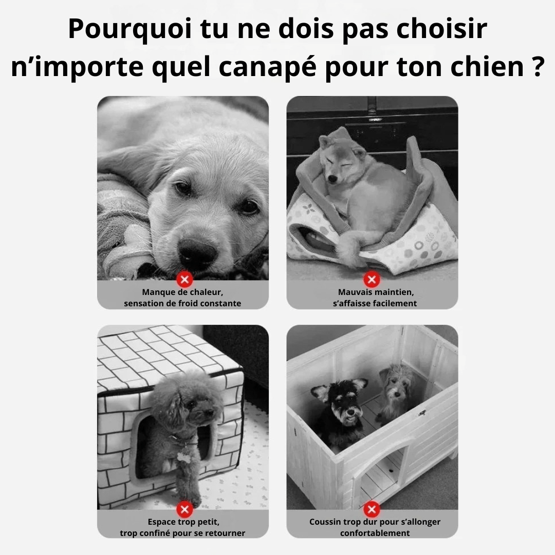 Canapé Confortable Pour Chien