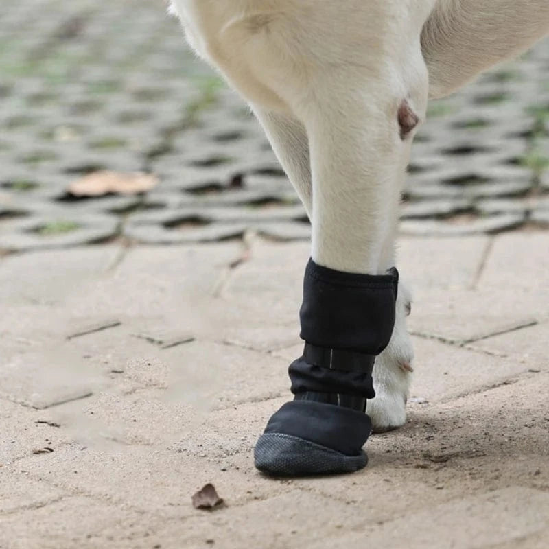 Chaussure Orthopédique Pour Chien