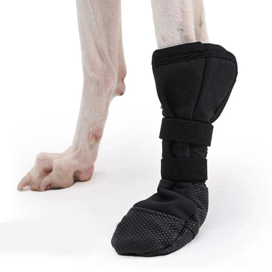 Chaussure Orthopédique Pour Chien