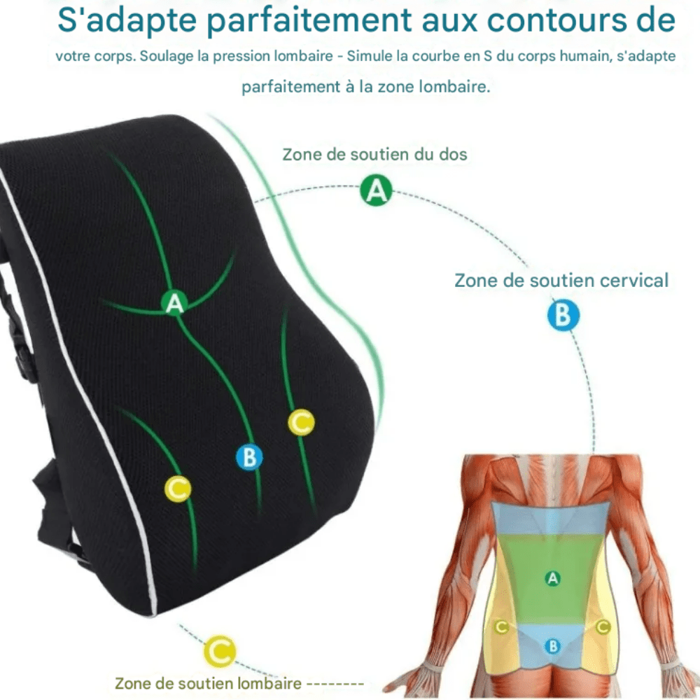 Coussin Orthopédique Dos de Siège
