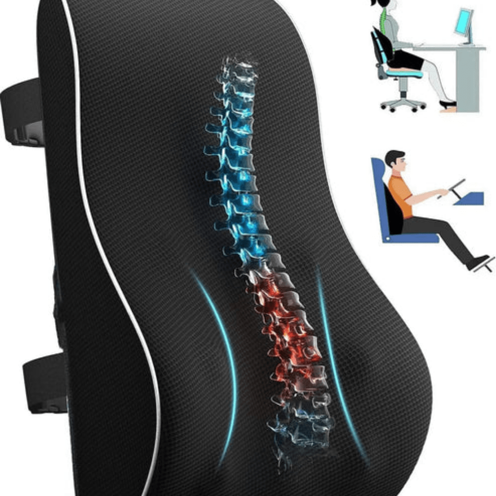 Coussin Orthopédique Dos de Siège