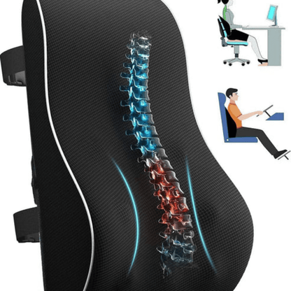 Coussin Orthopédique Dos de Siège