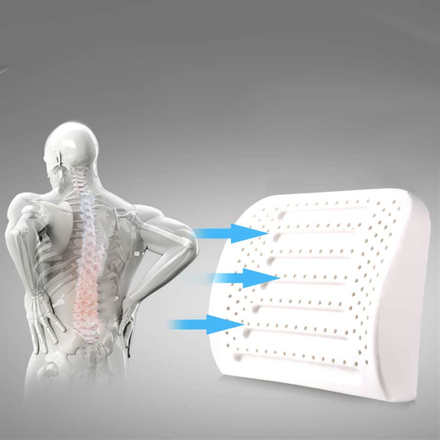 Coussin Orthopédique Dos en Latex