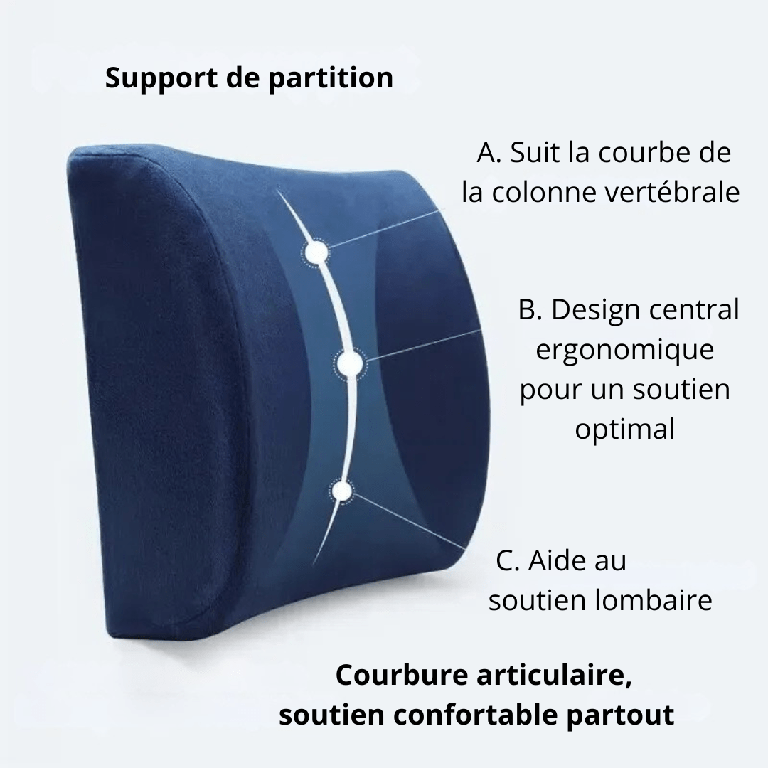 Coussin Orthopédique Dos En Mousse À Mémoire De Forme
