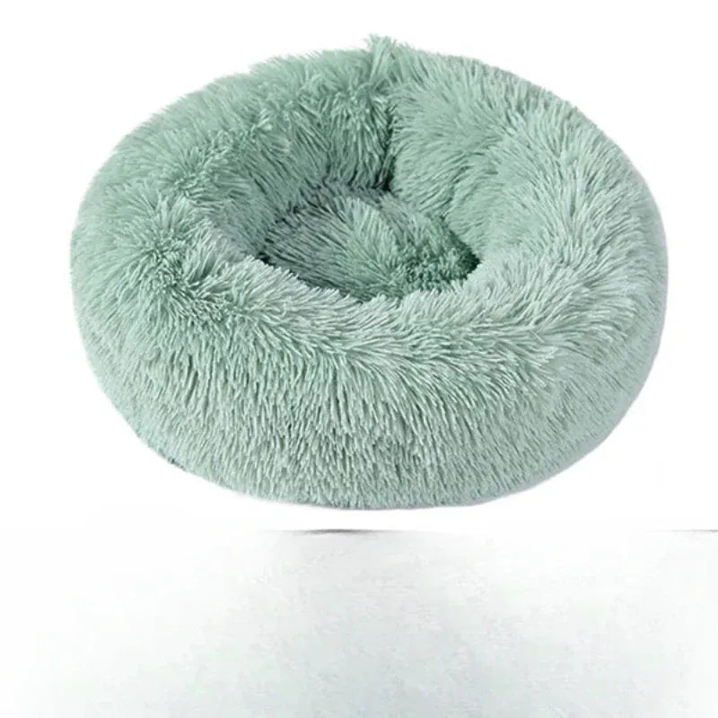 Coussin Orthopédique Pour Chat