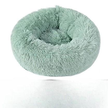Coussin Orthopédique Pour Chat