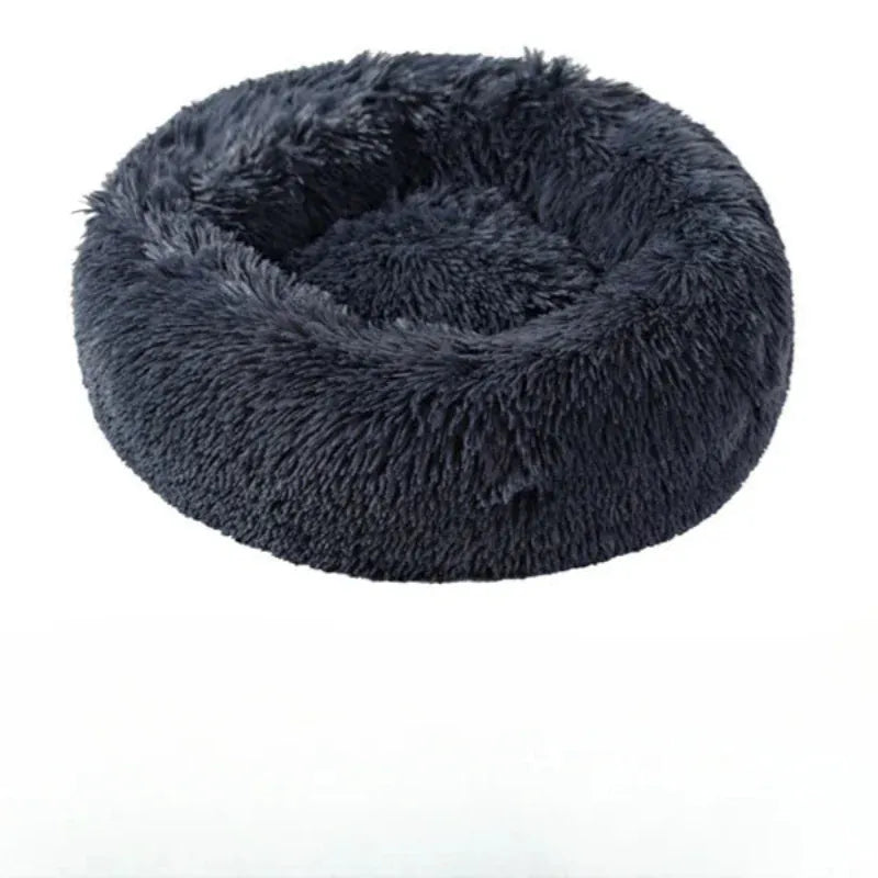 Coussin Orthopédique Pour Chat
