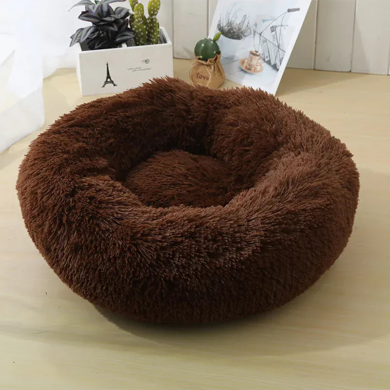 Coussin Orthopédique Pour Chat