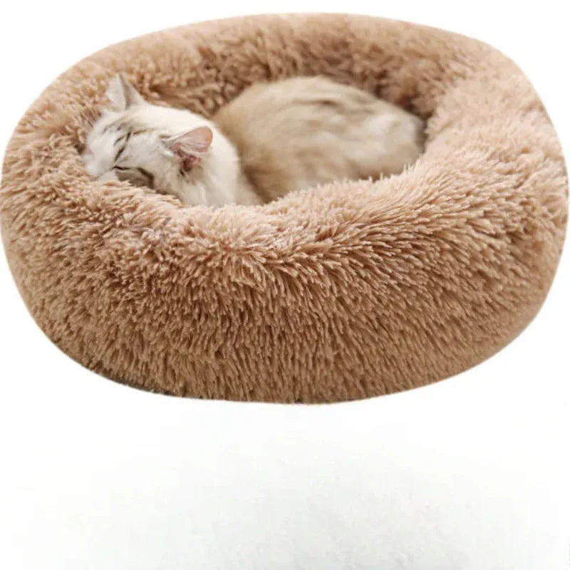 Coussin Orthopédique Pour Chat