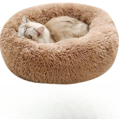 Coussin Orthopédique Pour Chat
