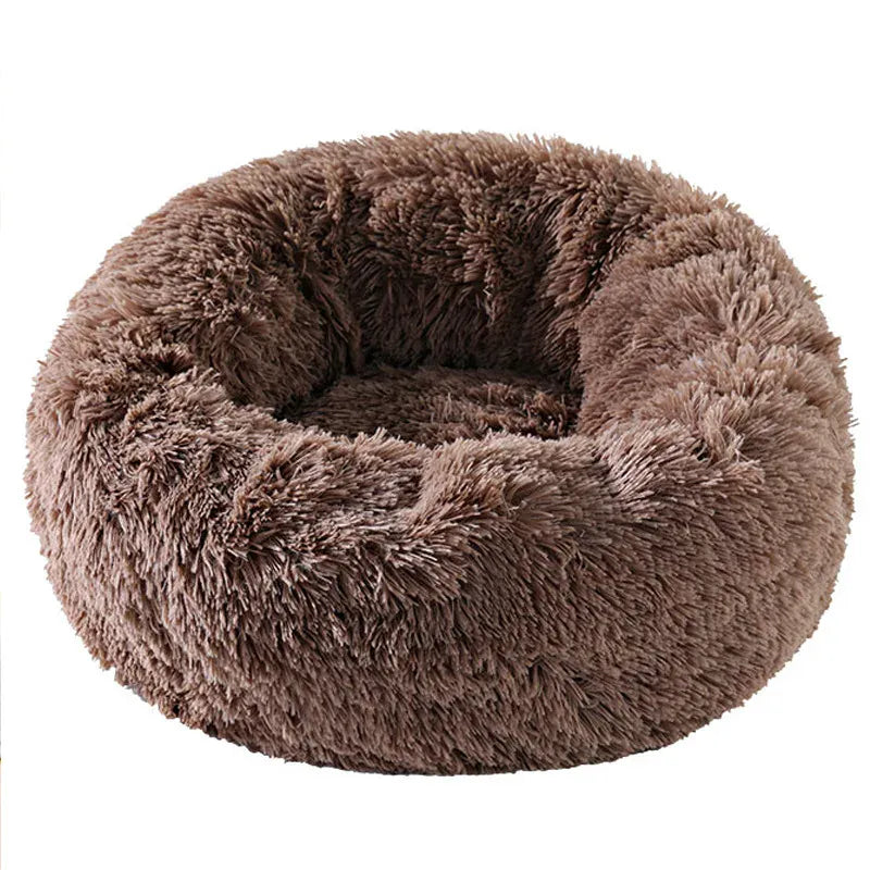 Coussin Orthopédique Pour Chat
