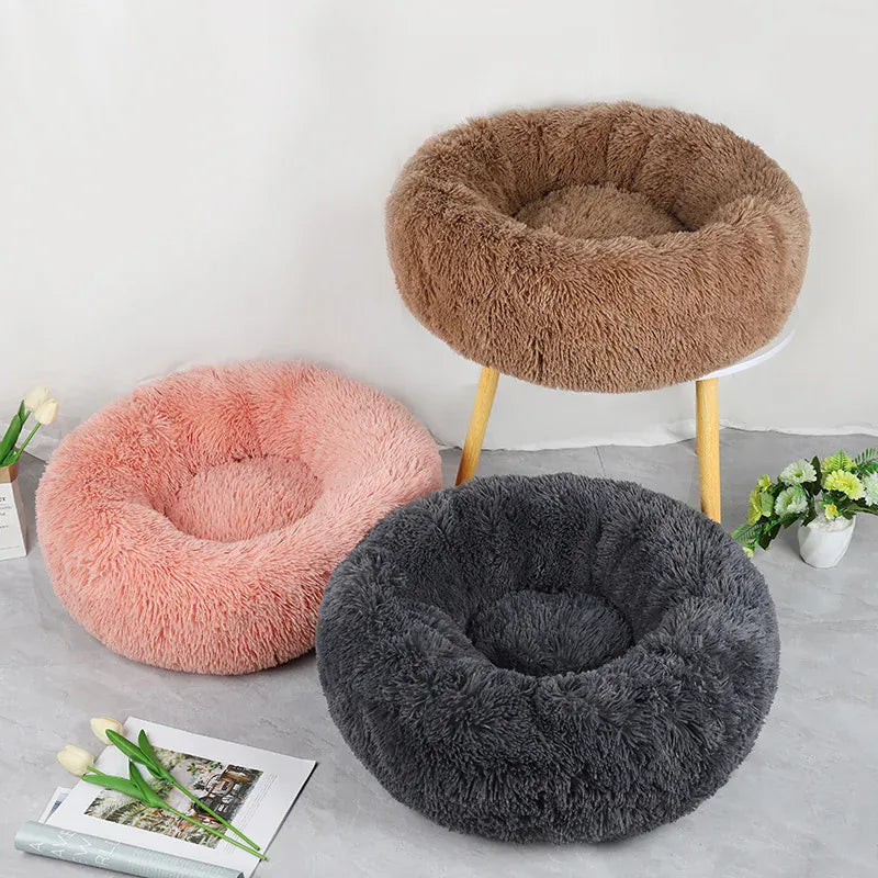 Coussin Orthopédique Pour Chat