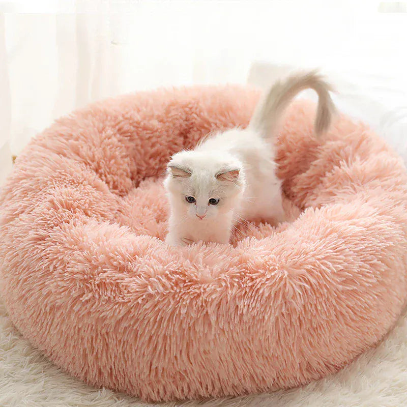 Coussin Orthopédique Pour Chat