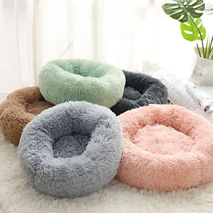 Coussin Orthopédique Pour Chat