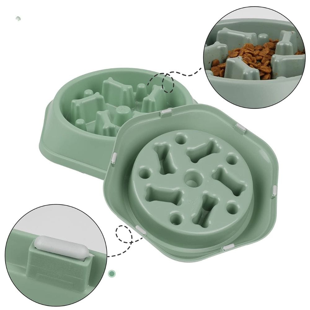 Gamelle Anti-Glouton