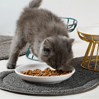 Gamelle Orthopédique Chat Bol en Céramique Surélevé Élégant