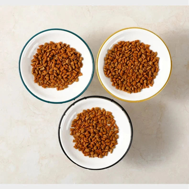 Gamelle Orthopédique Chat Bol en Céramique Surélevé Élégant