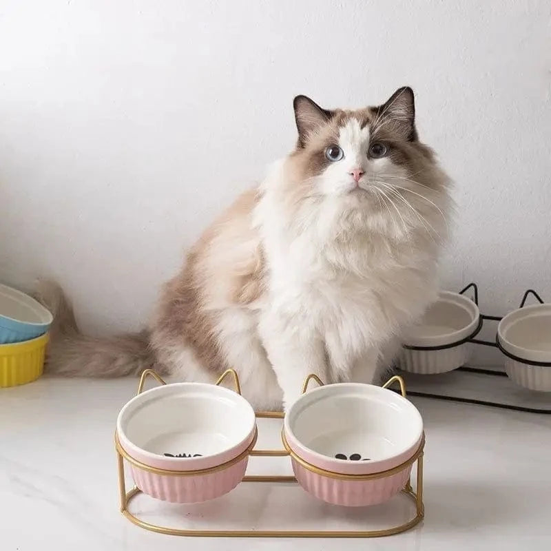 Gamelle Orthopédique Chat Double avec Support en Métal