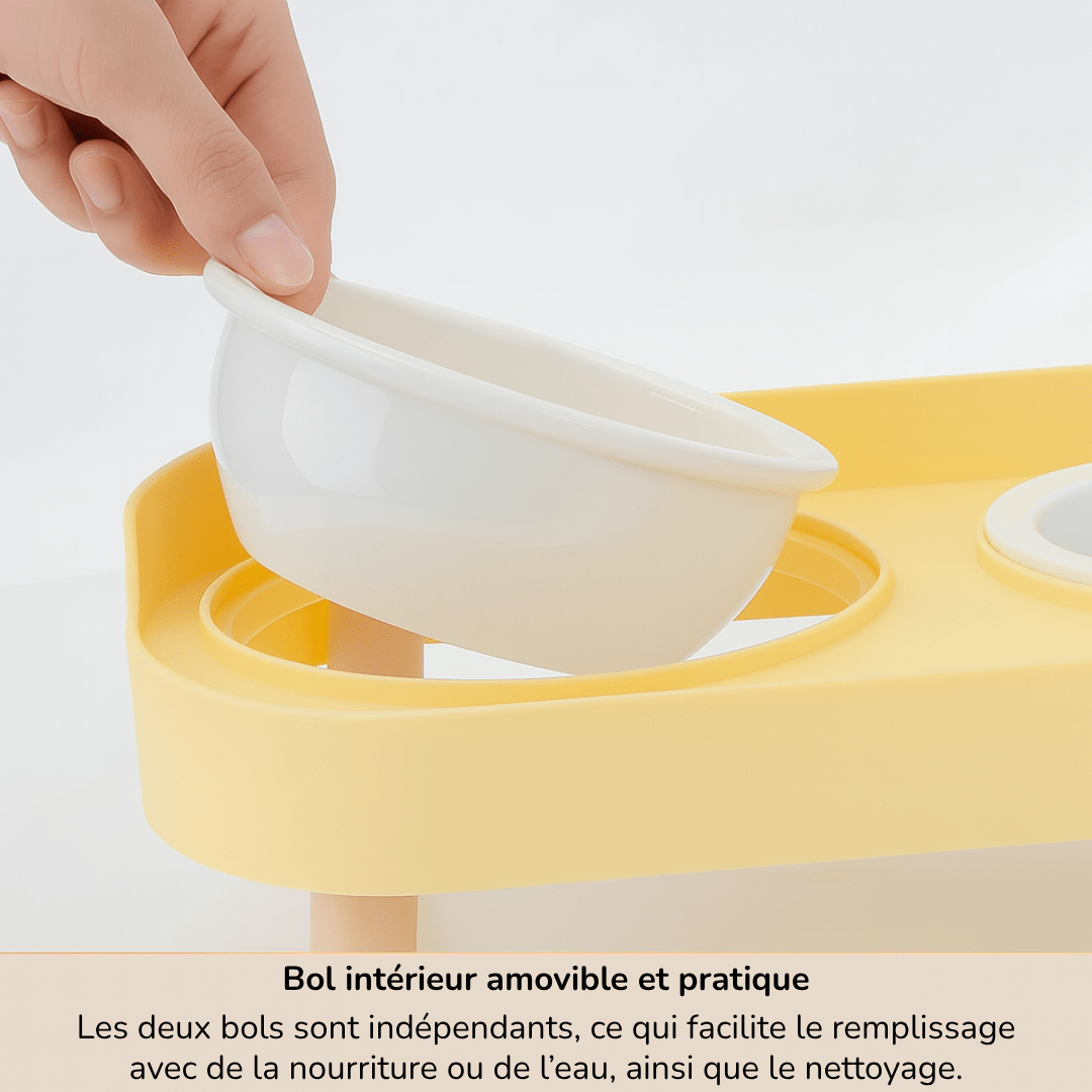 Gamelle Orthopédique pour Chien Double Élégante Style Nordique