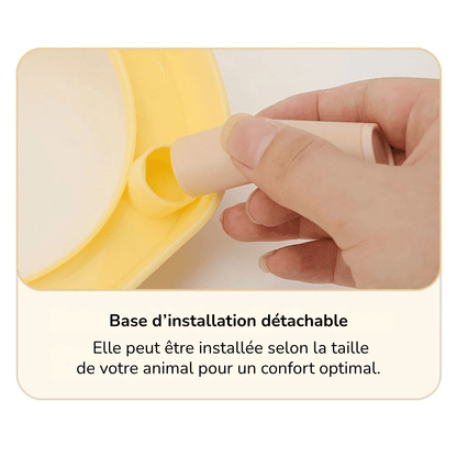 Gamelle Orthopédique pour Chien Double Élégante Style Nordique