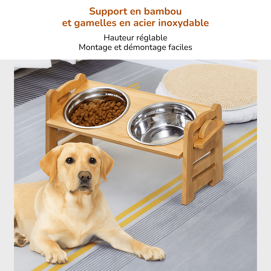 Gamelle Orthopédique pour Chien Double En Acier Inoxydable