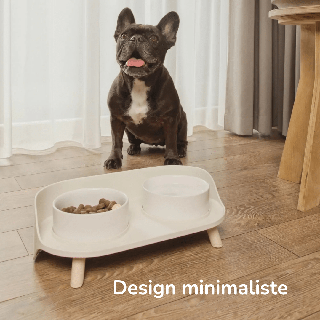 Gamelle Orthopédique pour Chien Double Surélevée En Céramique