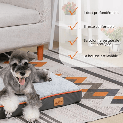 Grand Lit Orthopédique Pour Chien