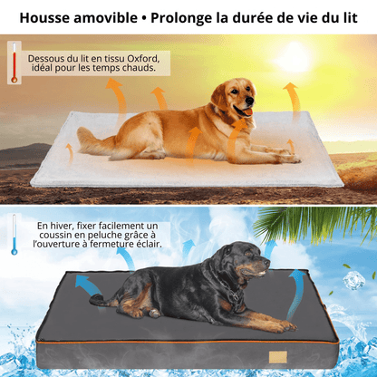 Grand Lit Orthopédique Pour Chien