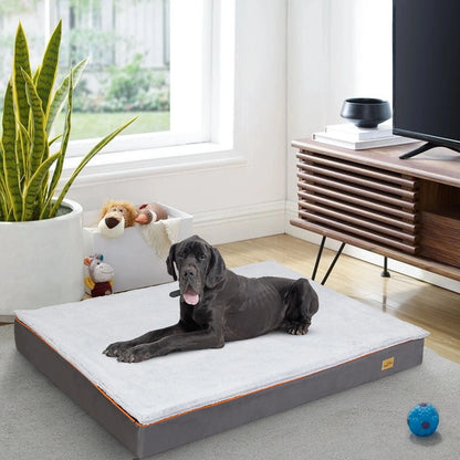 Grand Lit Orthopédique Pour Chien