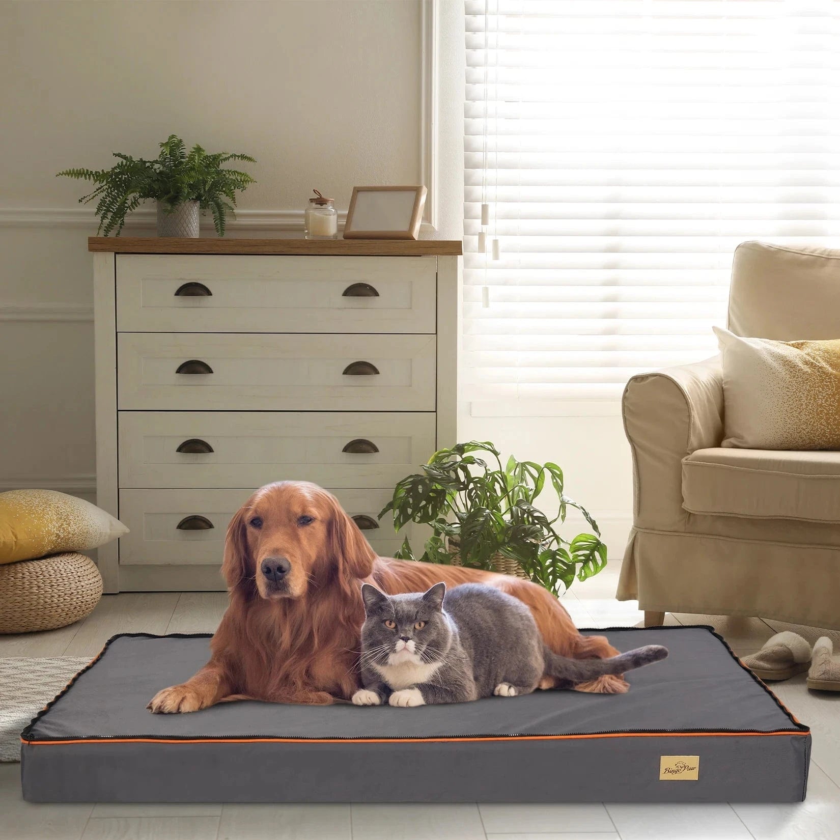 Grand Lit Orthopédique Pour Chien